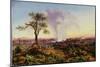 Victoria Falls at Sunrise, with The Smoke, c.1863-Thomas Baines-Mounted Giclee Print