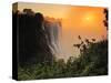 Victoria Falls at Sunrise, Zambezi River, Near Victoria Falls, Zimbabwe, Africa-Christian Heeb-Stretched Canvas