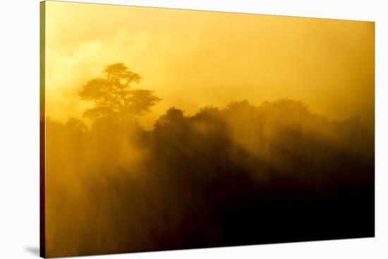 Victoria Falls, Mosi-Oa-Tunya National Park, Zambia-Paul Souders-Stretched Canvas