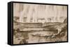 Victoria Falls of the Zambesi-null-Framed Stretched Canvas