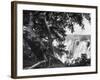 Victoria Falls on the Zambesi River-Eliot Elisofon-Framed Photographic Print
