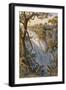 Victoria Falls: the Leaping Water (Colour Litho)-Thomas Baines-Framed Giclee Print