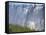 Victoria Falls, UNESCO World Heritage Site, Zambia, Africa-Pate Jenny-Framed Stretched Canvas