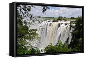 Victoria Falls, Zambezi River, Africa-Marc Scott-Parkin-Framed Stretched Canvas