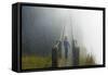 Victoria Falls, Zambia-null-Framed Stretched Canvas