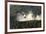 Victoria Falls, Zimbabwe/Zambia-Paul Joynson Hicks-Framed Photographic Print