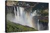 Victoria Falls-null-Stretched Canvas