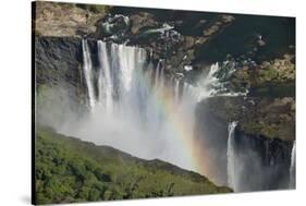 Victoria Falls-null-Stretched Canvas