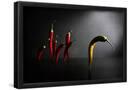 Essential Black