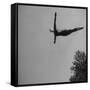 Victoria Manalo Draves Diving Like a Swan-John Florea-Framed Stretched Canvas