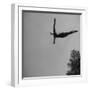 Victoria Manalo Draves Diving Like a Swan-John Florea-Framed Premium Photographic Print