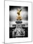 Victoria Memorial at Buckingham Palace - London - UK - England - United Kingdom - Europe-Philippe Hugonnard-Mounted Art Print