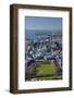 Victoria Park and Central Business District, Auckland, North Island, New Zealand-David Wall-Framed Photographic Print