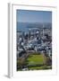 Victoria Park and Central Business District, Auckland, North Island, New Zealand-David Wall-Framed Photographic Print