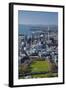 Victoria Park and Central Business District, Auckland, North Island, New Zealand-David Wall-Framed Photographic Print