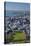 Victoria Park and Central Business District, Auckland, North Island, New Zealand-David Wall-Stretched Canvas