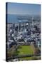 Victoria Park and Central Business District, Auckland, North Island, New Zealand-David Wall-Stretched Canvas