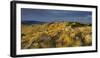 Victoria Park, Christchurch, Canterbury, South Island, New Zealand-Rainer Mirau-Framed Photographic Print