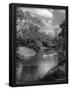 Essential Black