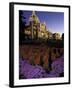 Victoria Parliament Building, British Columbia, Canada-Michele Westmorland-Framed Photographic Print