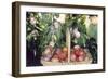 Victoria Plums-null-Framed Photographic Print