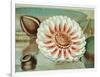 Victoria Regia or the Great Water Lily of America (Complete Bloom), 1854-Mary Cassatt-Framed Giclee Print