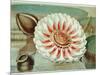 Victoria Regia or the Great Water Lily of America (Complete Bloom), 1854-Mary Cassatt-Mounted Giclee Print