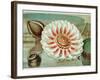 Victoria Regia or the Great Water Lily of America (Complete Bloom), 1854-Mary Cassatt-Framed Giclee Print