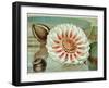 Victoria Regia or the Great Water Lily of America (Complete Bloom), 1854-Mary Cassatt-Framed Giclee Print