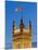 Victoria Tower and Houses of Parliament-Rudy Sulgan-Mounted Photographic Print