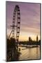 Victoria Tower, Big Ben, Houses of Parliament and London Eye Overshadow the River Thames at Dusk-Charles Bowman-Mounted Photographic Print