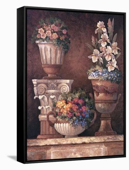 Victorian Blossoms II-James Lee-Framed Stretched Canvas