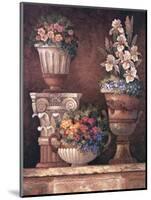 Victorian Blossoms II-James Lee-Mounted Art Print