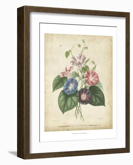 Victorian Bouquet I-Maubert-Framed Art Print