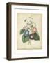 Victorian Bouquet I-Maubert-Framed Art Print