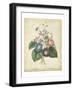 Victorian Bouquet I-Maubert-Framed Art Print