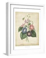 Victorian Bouquet I-Maubert-Framed Art Print