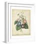 Victorian Bouquet I-Maubert-Framed Art Print