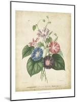 Victorian Bouquet I-Maubert-Mounted Art Print