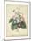 Victorian Bouquet I-Maubert-Mounted Art Print