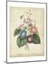 Victorian Bouquet I-Maubert-Mounted Art Print