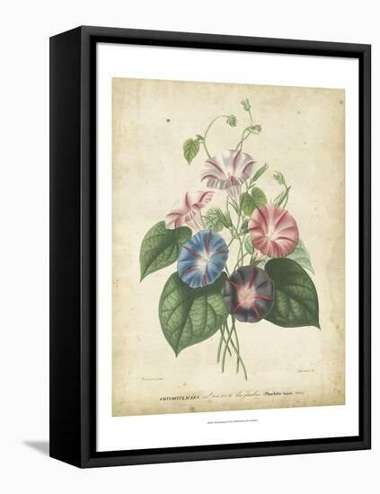 Victorian Bouquet I-Maubert-Framed Stretched Canvas