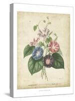 Victorian Bouquet I-Maubert-Stretched Canvas