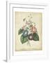 Victorian Bouquet I-Maubert-Framed Art Print