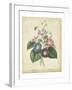 Victorian Bouquet I-Maubert-Framed Art Print
