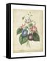 Victorian Bouquet I-Maubert-Framed Stretched Canvas