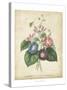 Victorian Bouquet I-Maubert-Stretched Canvas