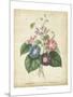 Victorian Bouquet I-Maubert-Mounted Art Print