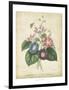 Victorian Bouquet I-Maubert-Framed Art Print