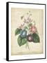 Victorian Bouquet I-Maubert-Framed Stretched Canvas